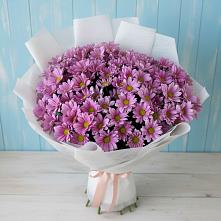 Букет цветов из:  Хризантемы #REPLACE_PRED# Жарковском