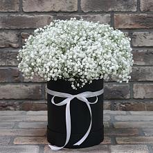 Цветочная композиция из Гипсофила в шляпной коробке в Жарковском