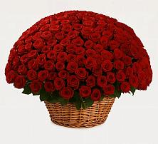 Премиум букет из: Розы в Жарковском